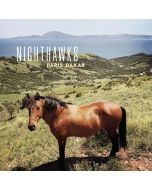 Nighthawks (Dal Martino/Reiner Winterschladen) - Paris-Dakar LP