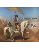 Knu! • My Horse doesn't give a Shit CD