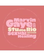 Marvin Gaye & Studio Rio - Sexual Healing (45 RPM) SIN