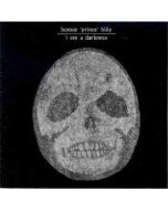 Bonnie 'Prince' Billy - I See A Darkness LP