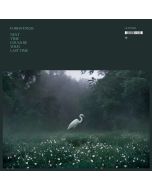 Forgiveness - Next Time Could Be Your Last Time CD