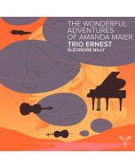 Amanda Maier-Röntgen (1853-1894) - Klaviertrio Es-Dur CD