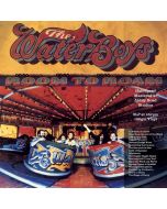 The Waterboys - Room To Roam (Half Speed Master) (180g) (45 RPM) LP
