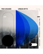 Will Vinson, Gilad Hekselman & Nate Wood - Trio Grande: Urban Myth LP