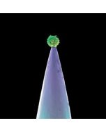 Peter Gabriel - New Blood CD