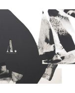 A.A. Williams - As The Moon Rests CD