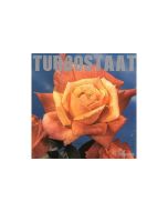 Turbostaat - Schwan (180g) (Limited Edition) LP
