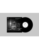 Scandinavian Art Ensemble & Tomasz Stanko - The Copenhagen Sessions Vol. 2 LP
