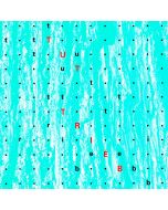 Markus Eichenberger • Tuttrieb - Triebtat CD