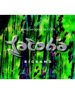 Marco Antonio da Costa • Jatobá Bigband CD