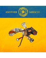 Steve 'n' Seagulls - Another Miracle CD