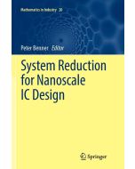 System Reduction for Nanoscale IC Design