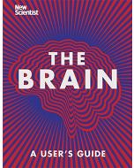 The Brain • A User's Guide