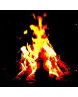 Café Duo • Campfire Jazz CD