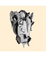 Milk Teeth LP