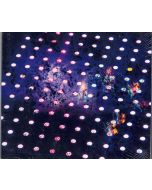 Daniel Corral • Diamond Pulses CD