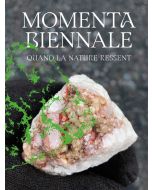 MOMENTA Biennale • Quand la nature ressent