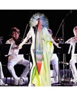 Björk • Vulnicura Strings CD