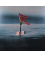 Will Samson • Paralanguage LP