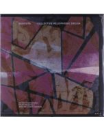 Suncuts - Collective Heliophobic Dream LP