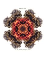 Colour Haze - To The Highest Gods We Know (Reworked 2024) (180g) LP