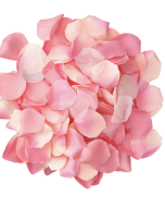 DIABLO PICANTE - 100 ROSA BLÜTENBLTTER