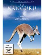 Das Känguru 1 DVD