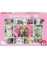 Katzenbabys - 100 Teile Puzzle
