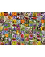 99 Bienen - Puzzle 1000 Teile