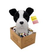 Micky - adopt me Plüsch Tier Hund